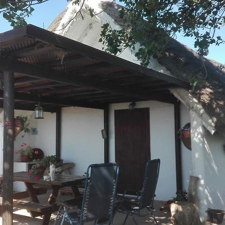Villa La Barraca D'En Salvador à Deltebre Extérieur photo