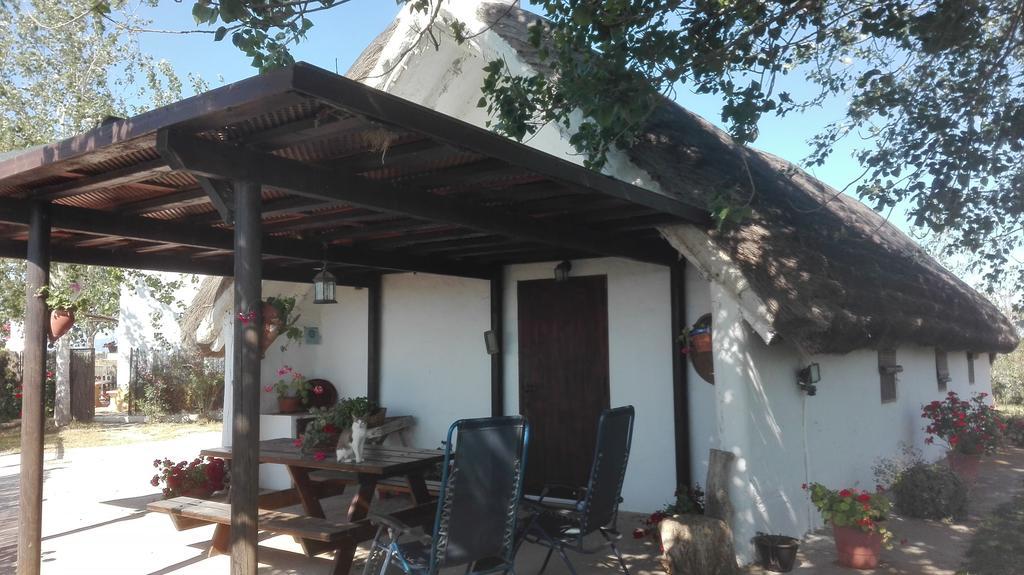 Villa La Barraca D'En Salvador à Deltebre Extérieur photo