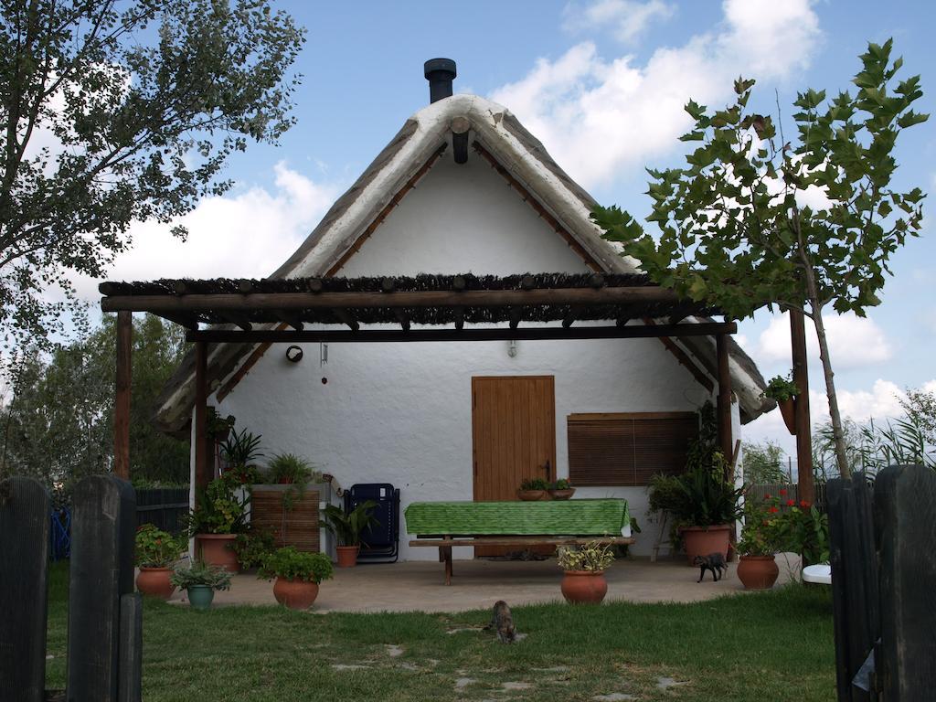 Villa La Barraca D'En Salvador à Deltebre Extérieur photo